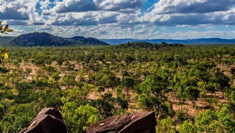 Excursión al Outback y Chillagoe, Cairns - Central de Reservas