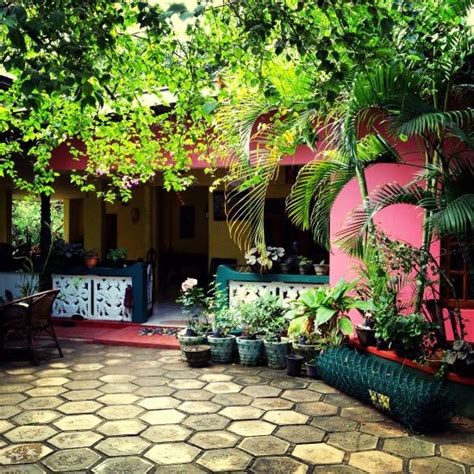 FLOWER INN (Sigiriya) - Guesthouse Reviews, Photos, Rate Comparison ...