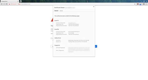 Google Website Privacy Error 的图像结果