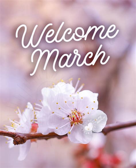 💖 Welcome March images and videos