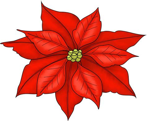 Poinsettia Plant Clip Art