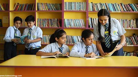 Image result for Example of Functionalist Perspective