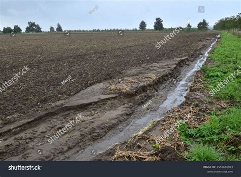 Field Erosion Soil By Water Nature Stock Photo 2550666883 | Shutterstock