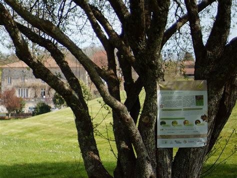 LE CHAMBON SPORT & NATURE EN CHARENTE (2025) All You Need to Know ...