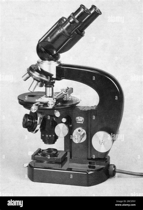 Image result for Modern Compound Microscope