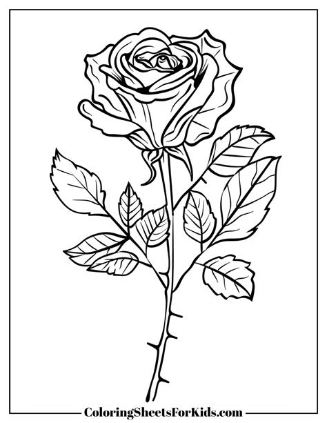 Rose Coloring Pages (Free Print and Downloads) - Coloring Sheets For Kids