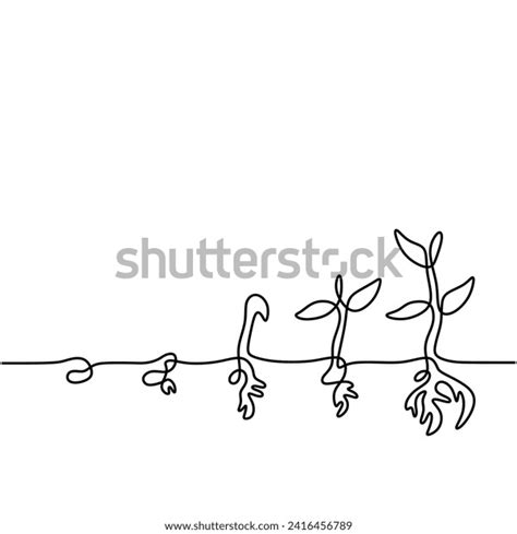 Image result for Line Graph Life Science