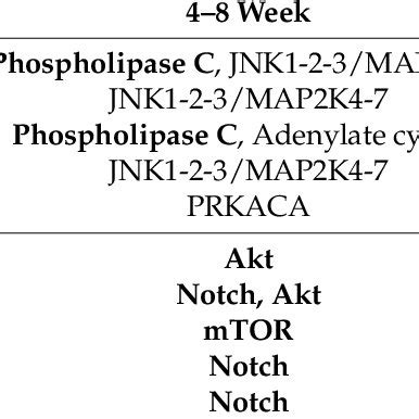 Image result for Additive Effect Examples