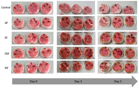 Application of Edible Alginate Films with Pineapple Peel Active ...