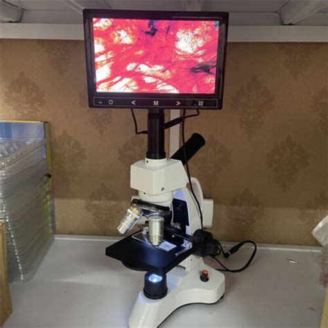 4000X Biological Microscope Screen Aquaculture Sperm | Ubuy India