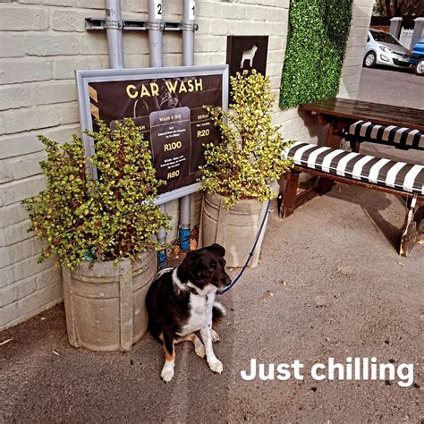 Cafe On Common (@cafe_on_common) • Instagram photos and videos