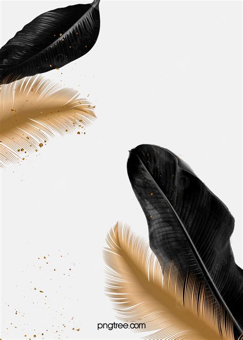 Luxury Black Palm Gold Feather Wedding Background Wallpaper Image For ...