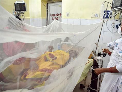 Over 40, including kids, die of suspected dengue