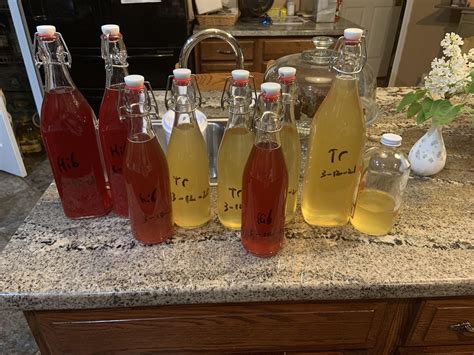 Just finished two gallons of hibiscus and traditional. Too much headspace? : r/mead