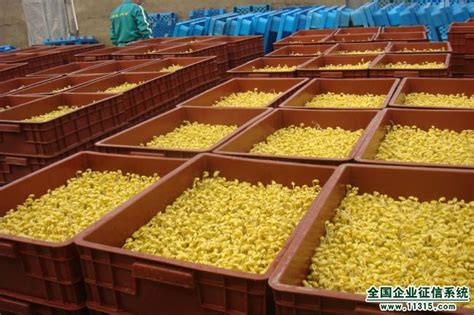 河南“金豆子”联合华北7厂在行动！1000吨芽苗菜分批每日“新鲜”捐赠-大河新闻