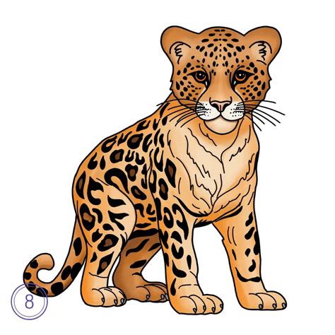 Image result for How to Draw a Leopard
