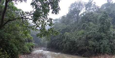 Yettinahole Diversion: An imprudent, Rs.100 Billion proposition – SANDRP