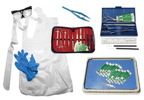 Animal Dissections: Supplies, Specimens, Kits & More from HST