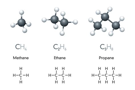 Image result for Organic Compounds Examples