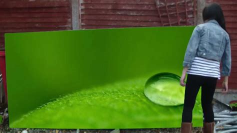 Homemade Greenscreen 的图像结果