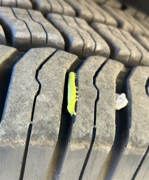 Image result for Class 4 Knowledge Test Practice BC Sign