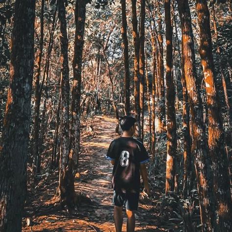 Image result for Ding Threads