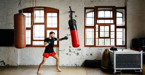Image result for Free Boxing Workouts