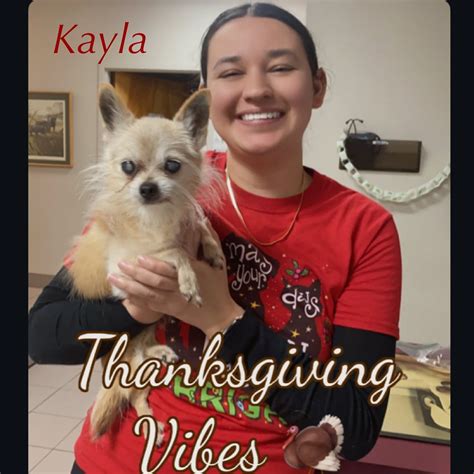 Brandt Veterinary Services (@brandtvetservices) • Instagram photos and ...