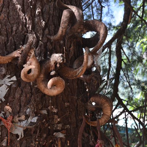 GHATOTKACH TREE TEMPL (2026) All You Need to Know BEFORE You Go (with ...