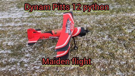 Image result for Dynam Pitts Python