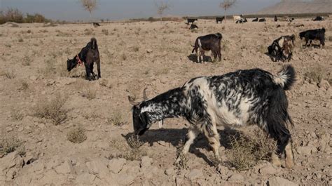 Local Food Production 的图像结果