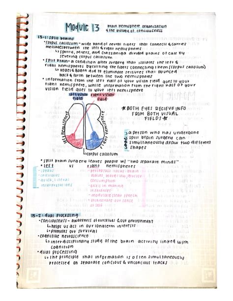 AP Psych Unit 0: Comprehensive Overview of Psychological Foundations ...