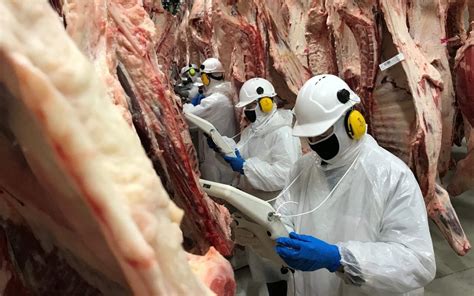 Image result for Beef Cam Module