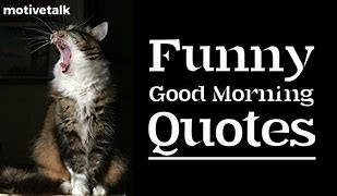 Image result for Spring Good Morning Funny