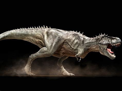 High Definition Photo And Wallpapers: dinosaur wallpapers,dinosaur ...