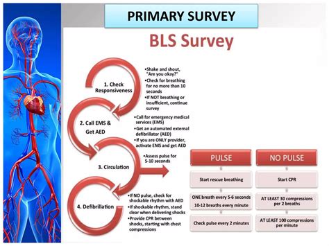 Image result for First Blue Code