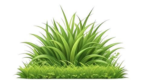 grass clipart with transparent background 45962579 PNG