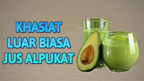 manfaat konsumsi alpukat bagi ibu hamil