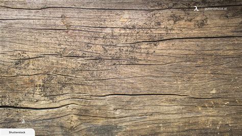 Black Mold vs. Mildew on Wood: What's the Difference?