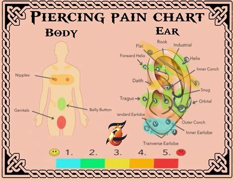 Piercing pain chart in 2025 | Piercing chart, Ear piercings chart, Body ...