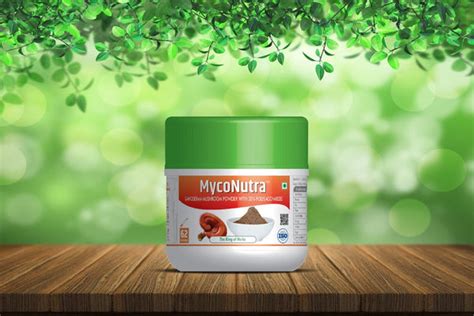 Ganoderma Mushroom Powder – Biobritte India