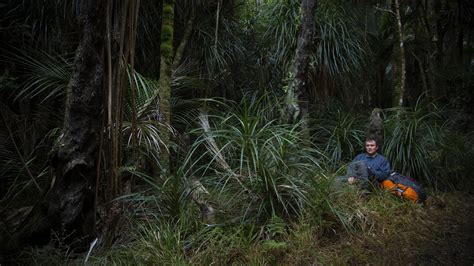 Image result for Loop Track Changes