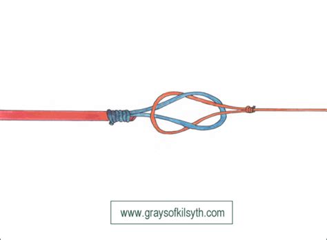 Image result for Loop to Loop Knot On Fly Line