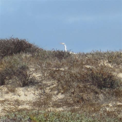 McGrath State Beach (Oxnard) - 2022 Lohnt es sich? (Mit fotos)