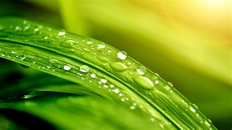 Example of Condensation 的图像结果