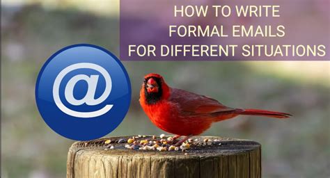 Help Write Formal Emails 的图像结果