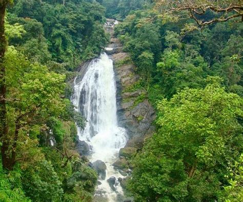 THE 10 CLOSEST Hotels to Attukal Waterfalls