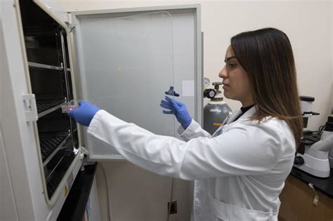 Image result for Non-Routine Study Lab