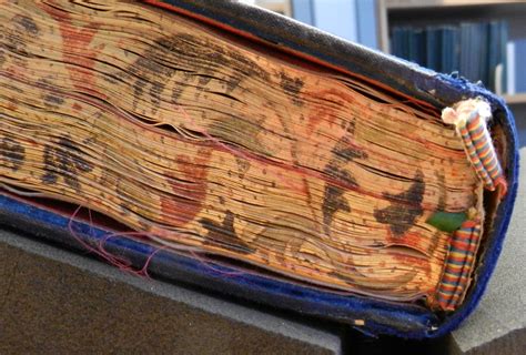 Image result for Codex Form