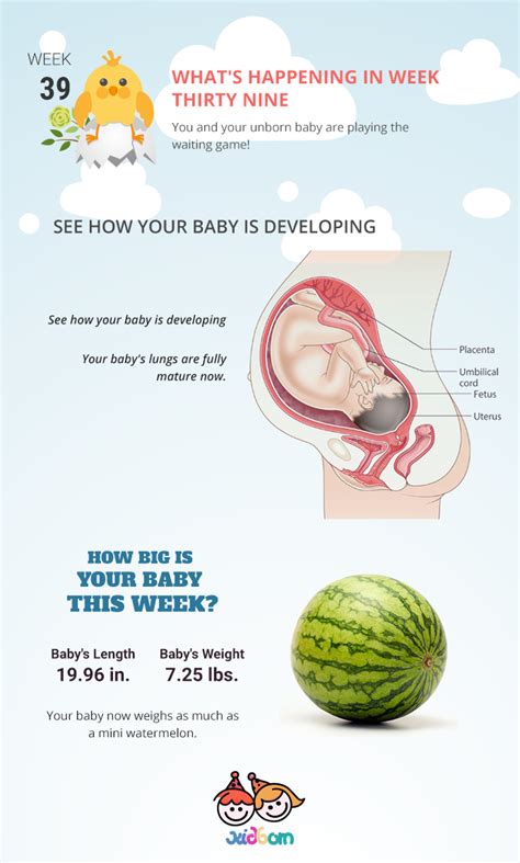 Pregnancy week 39| Pregnancy changes week by week - Kidborn